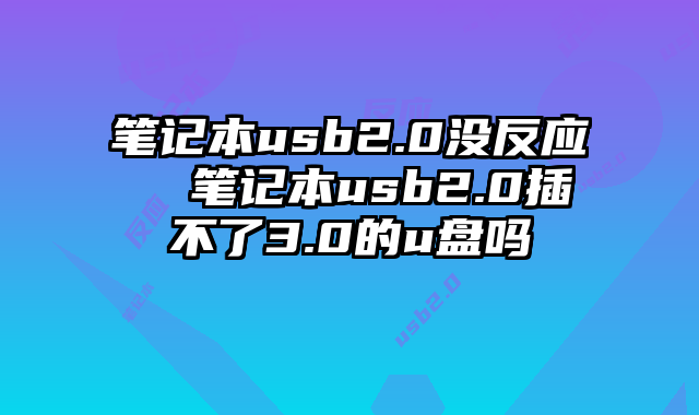 笔记本usb2.0没反应  笔记本usb2.0插不了3.0的u盘吗