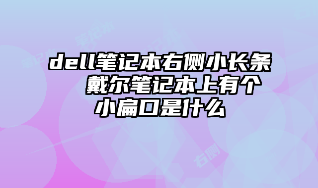 dell笔记本右侧小长条  戴尔笔记本上有个小扁口是什么