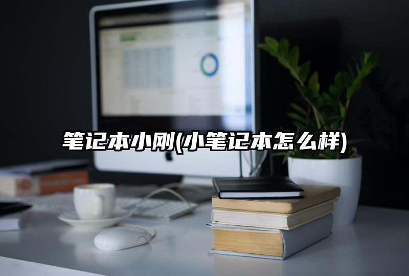 笔记本小刚(小笔记本怎么样)