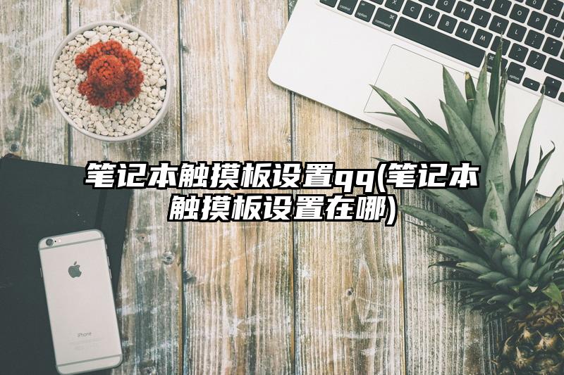 笔记本触摸板设置qq(笔记本触摸板设置在哪)