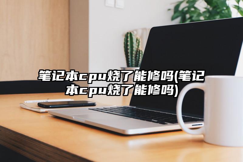 笔记本cpu烧了能修吗(笔记本cpu烧了能修吗)