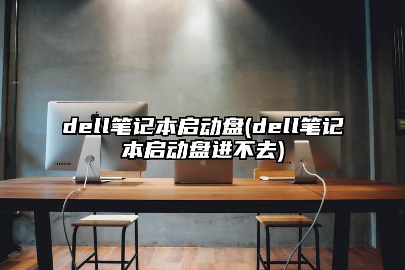 dell笔记本启动盘(dell笔记本启动盘进不去)