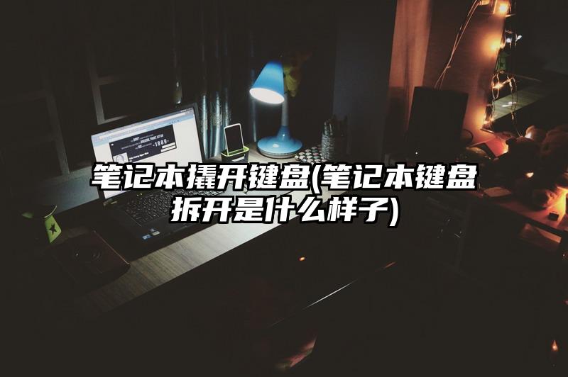 笔记本撬开键盘(笔记本键盘拆开是什么样子)