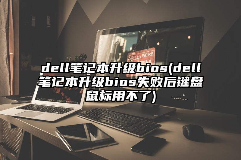 dell笔记本升级bios(dell笔记本升级bios失败后键盘鼠标用不了)