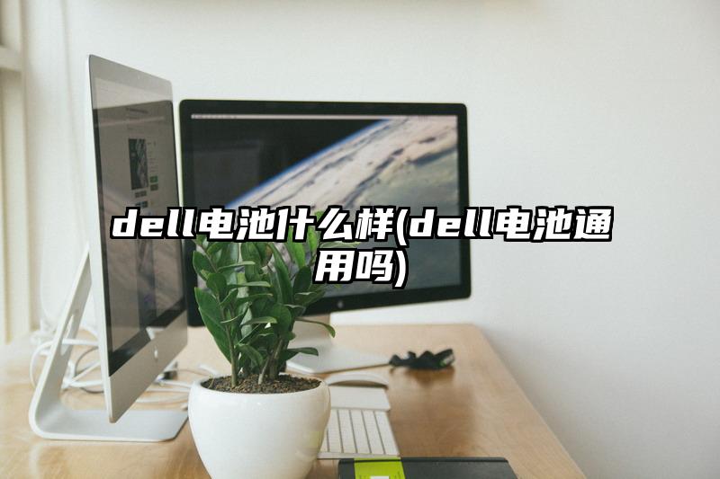 dell电池什么样(dell电池通用吗)