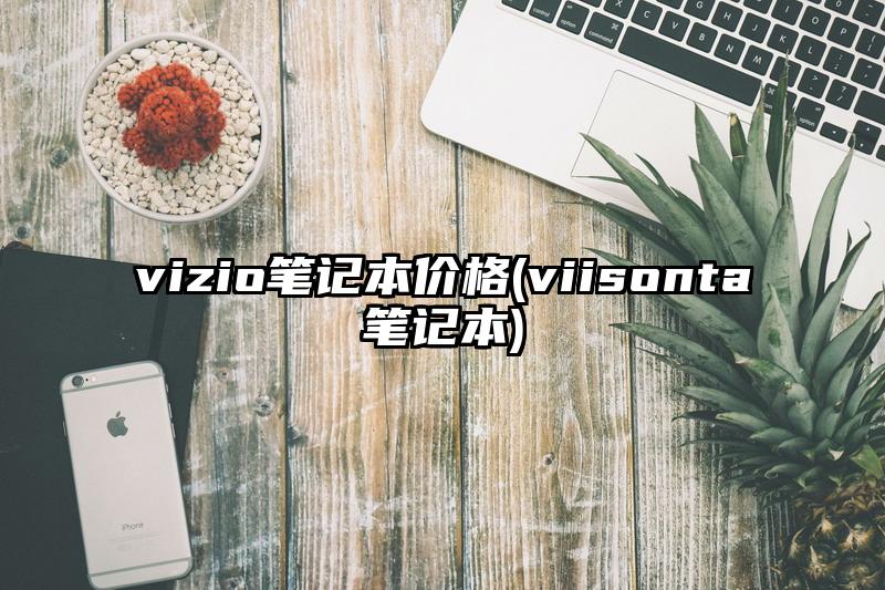 vizio笔记本价格(viisonta笔记本)