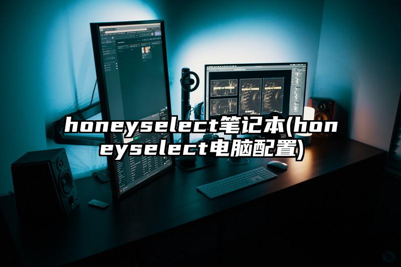 honeyselect笔记本(honeyselect电脑配置)