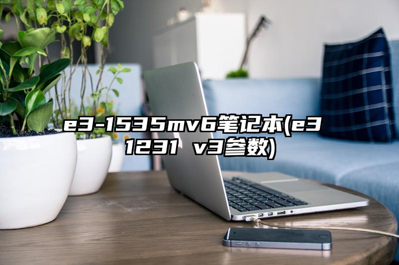 e3-1535mv6笔记本(e3 1231 v3参数)