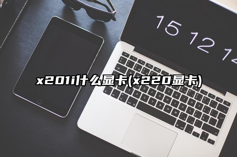 x201i什么显卡(x220显卡)