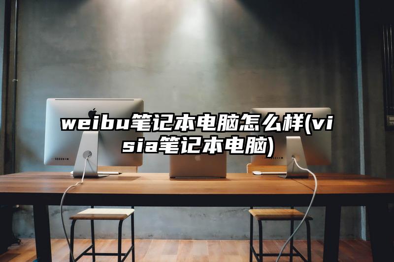 weibu笔记本电脑怎么样(visia笔记本电脑)