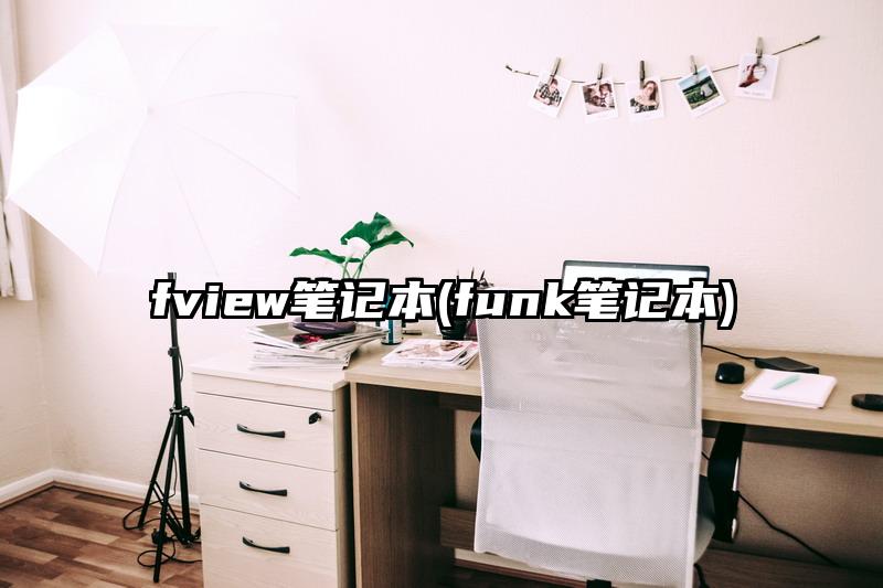 fview笔记本(funk笔记本)