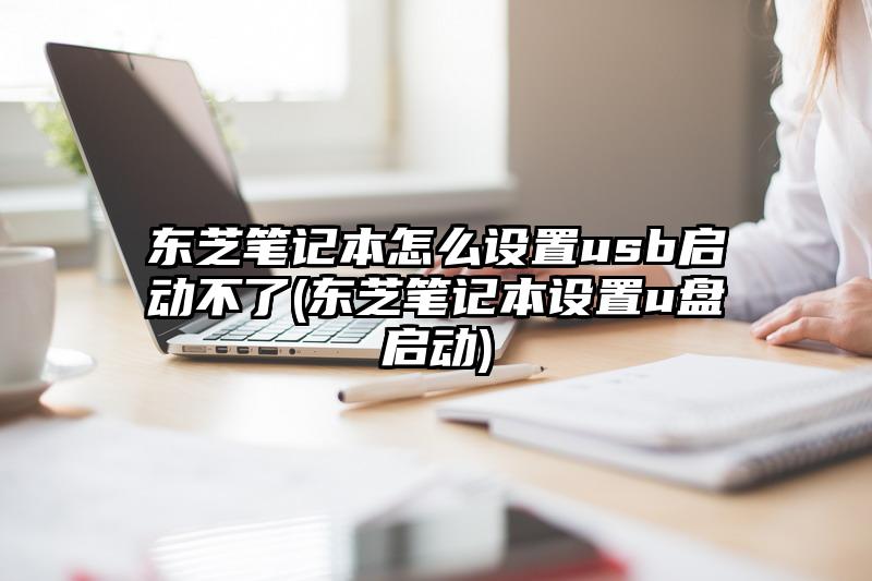 东芝笔记本怎么设置usb启动不了(东芝笔记本设置u盘启动)