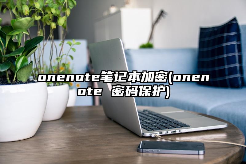 onenote笔记本加密(onenote 密码保护)