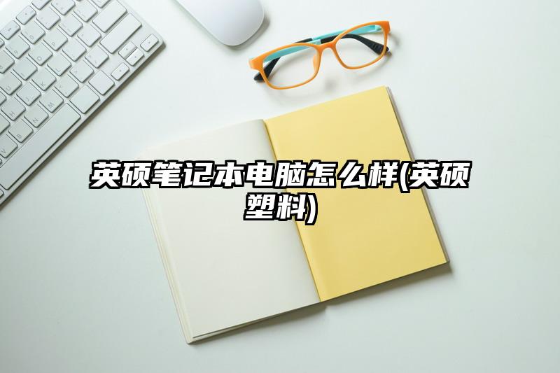 英硕笔记本电脑怎么样(英硕塑料)