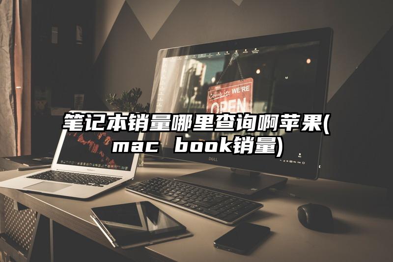 笔记本销量哪里查询啊苹果(mac book销量)