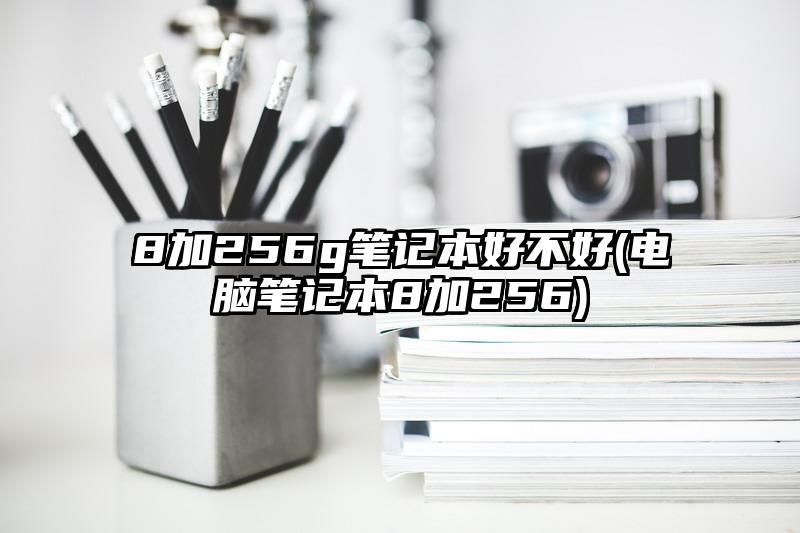 8加256g笔记本好不好(电脑笔记本8加256)