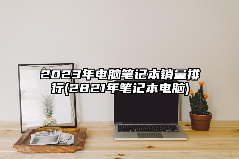 2023年电脑笔记本销量排行(2821年笔记本电脑)