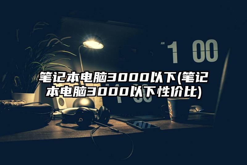 笔记本电脑3000以下(笔记本电脑3000以下性价比)