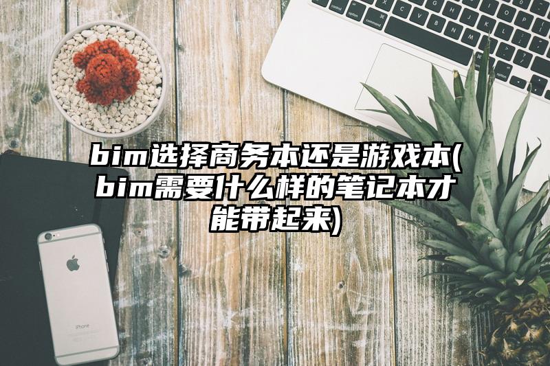 bim选择商务本还是游戏本(bim需要什么样的笔记本才能带起来)