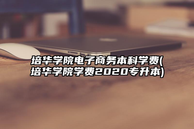 培华学院电子商务本科学费(培华学院学费2020专升本)