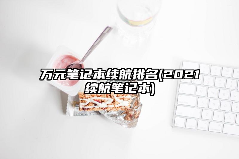 万元笔记本续航排名(2021续航笔记本)