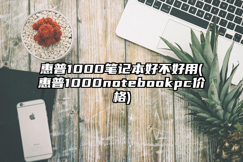 惠普1000笔记本好不好用(惠普1000notebookpc价格)