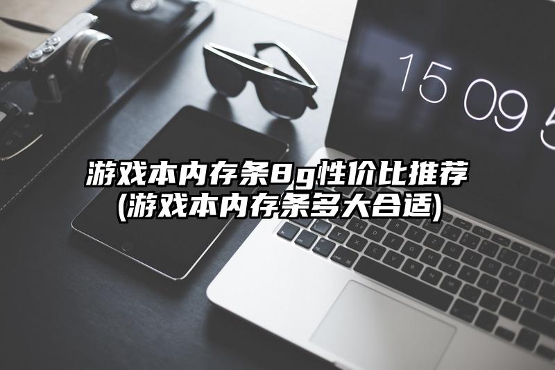 游戏本内存条8g性价比推荐(游戏本内存条多大合适)