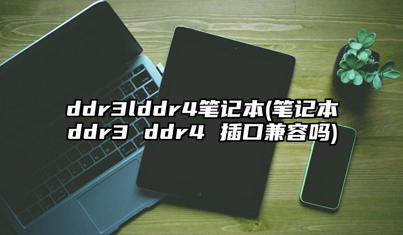 ddr3lddr4笔记本(笔记本ddr3 ddr4 插口兼容吗)