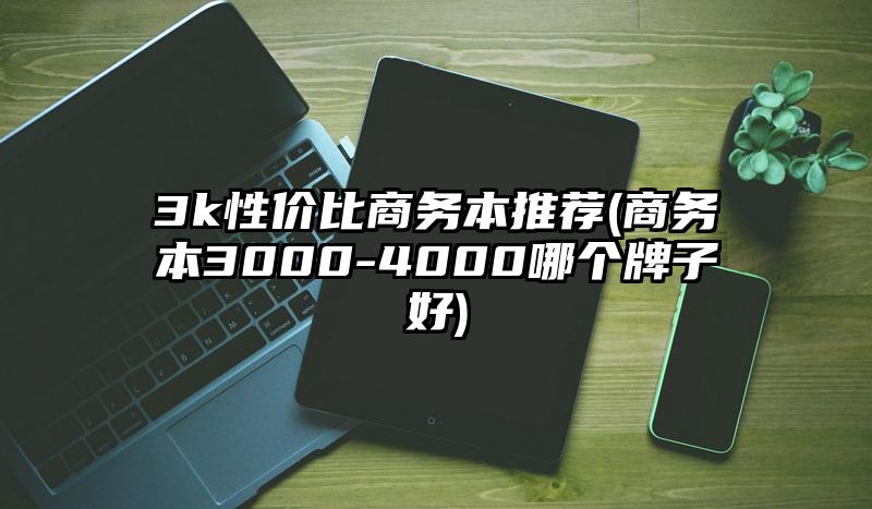 3k性价比商务本推荐(商务本3000-4000哪个牌子好)