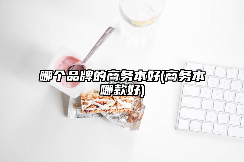 哪个品牌的商务本好(商务本哪款好)