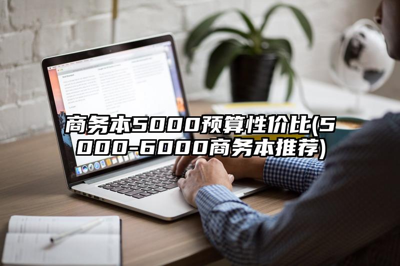 商务本5000预算性价比(5000-6000商务本推荐)