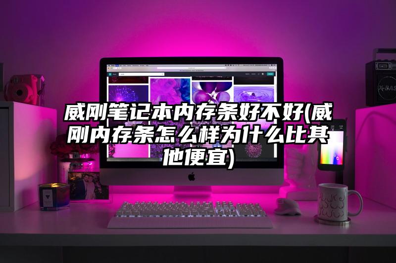 威刚笔记本内存条好不好(威刚内存条怎么样为什么比其他便宜)