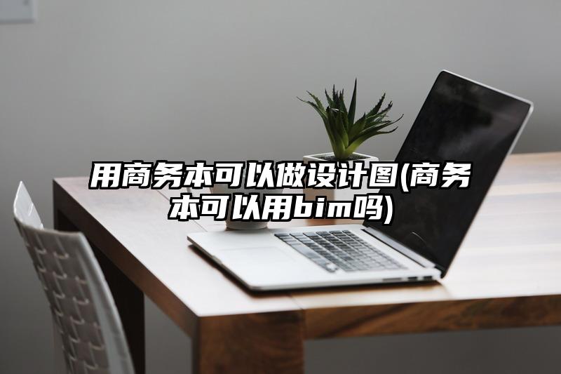 用商务本可以做设计图(商务本可以用bim吗)