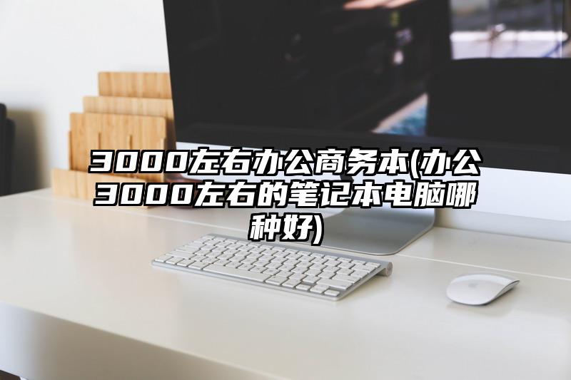 3000左右办公商务本(办公3000左右的笔记本电脑哪种好)