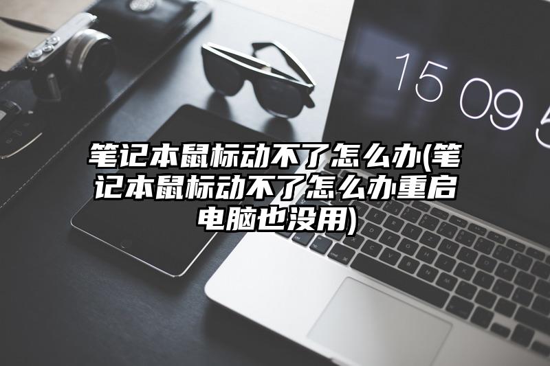 笔记本鼠标动不了怎么办(笔记本鼠标动不了怎么办重启电脑也没用)