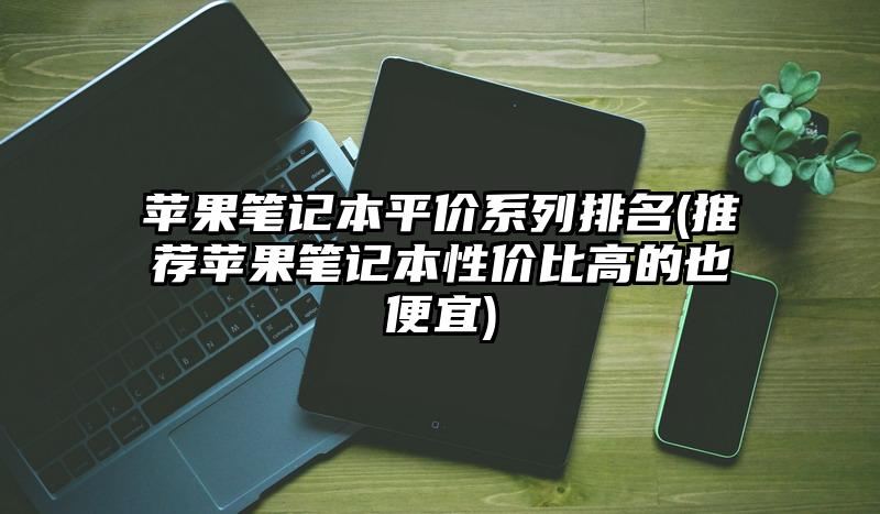 苹果笔记本平价系列排名(推荐苹果笔记本性价比高的也便宜)