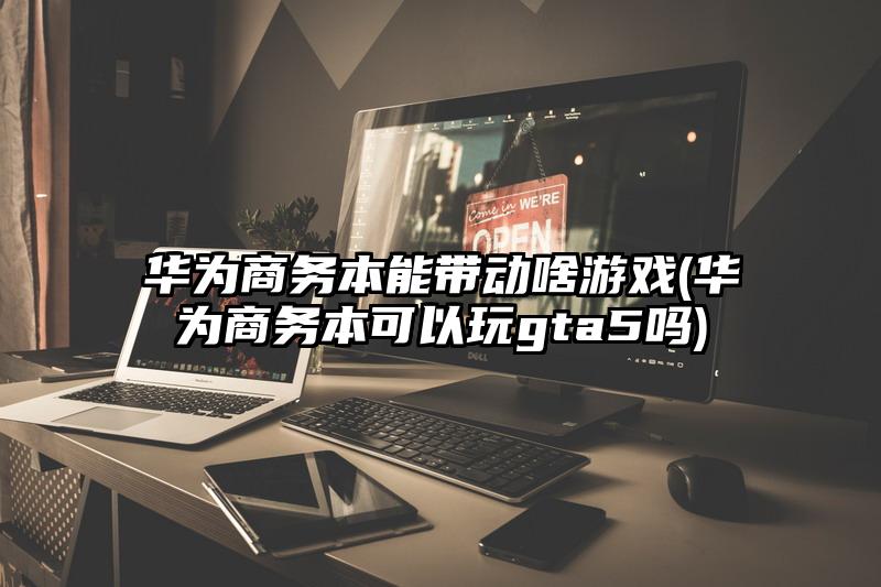 华为商务本能带动啥游戏(华为商务本可以玩gta5吗)