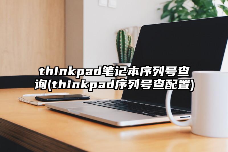 thinkpad笔记本序列号查询(thinkpad序列号查配置)