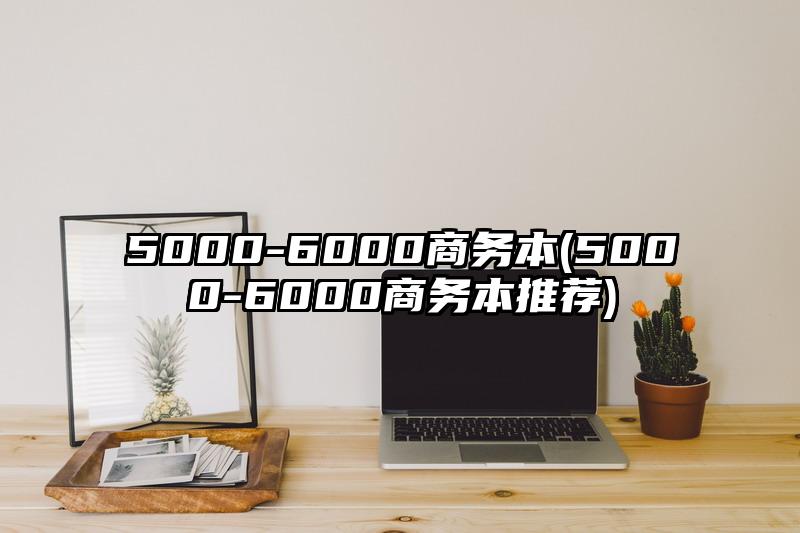 5000-6000商务本(5000-6000商务本推荐)